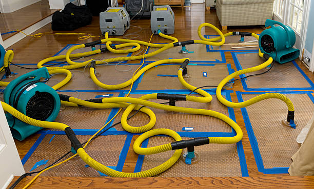 Professional Basement Flood Cleanup technician working in Voluntown, CT